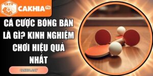 cá cược bóng bàn