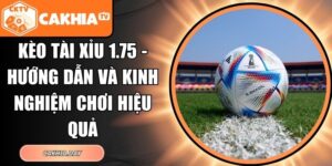 kèo tài xỉu 1.75