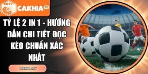 Tỷ lệ 2 in 1