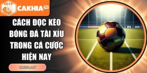 Cách Đọc Kèo Bóng Đá Tài Xỉu