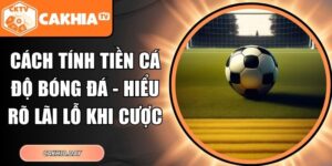 Cách Tính Tiền Cá Độ Bóng Đá