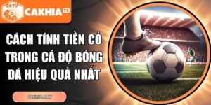 Cách Tính Tiền Cỏ Trong Cá Độ Bóng Đá
