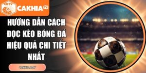 Hướng Dẫn Cách Đọc Kèo Bóng Đá