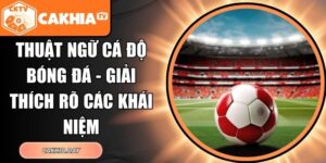 Thuật Ngữ Cá Độ Bóng Đá